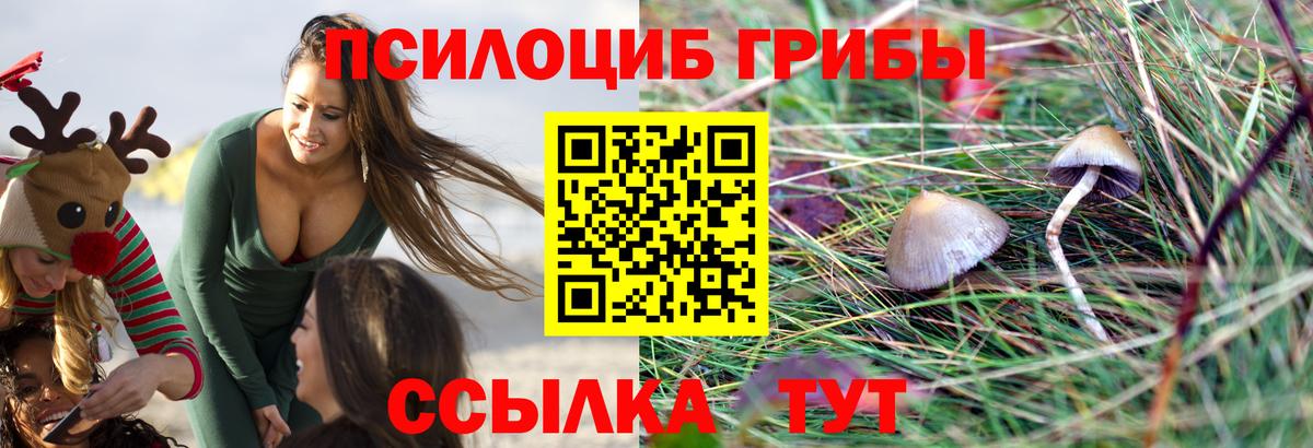 Галлюциногенные грибы ЛСД  Вход с VPN  Псилоцибиновые грибы ЛСД  Куйбышев 